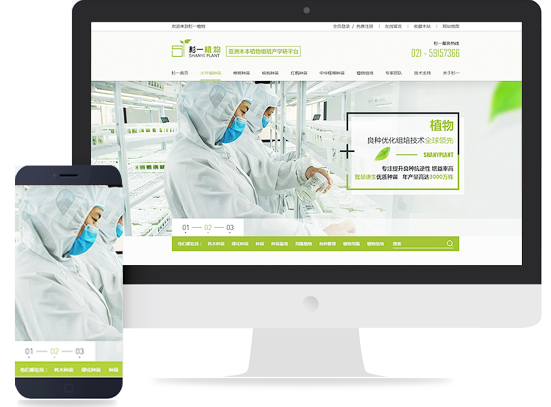 網(wǎng)站建設(shè) 打造高效、美觀的在線平臺(tái)